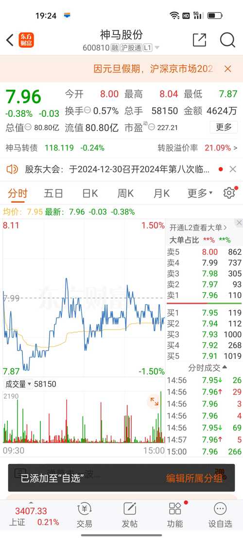 神馬股份（股票代碼，600810）股吧深度解析，神馬股份（股票代碼，600810）股吧全面深度解析