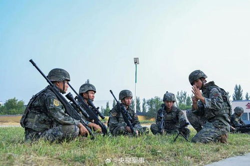 全國雇傭兵征兵網(wǎng)官網(wǎng)，探索現(xiàn)代軍事力量的招募與培養(yǎng)之路，全國雇傭兵征兵網(wǎng)官網(wǎng)，現(xiàn)代軍事力量招募與培養(yǎng)之路探索